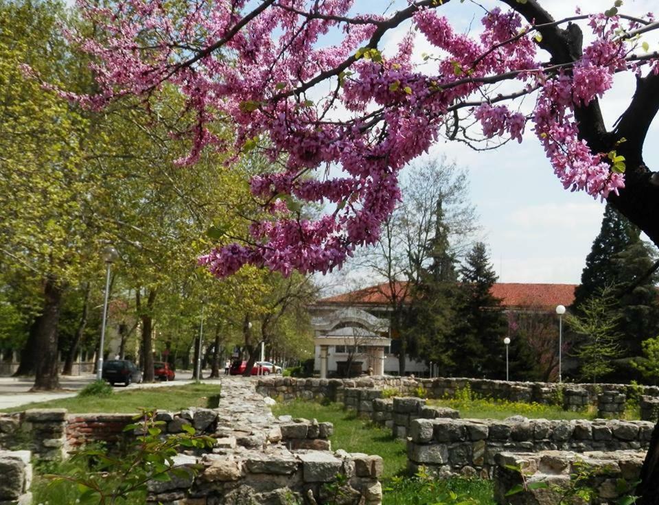 Апартамент 13 Hisarya Luaran gambar